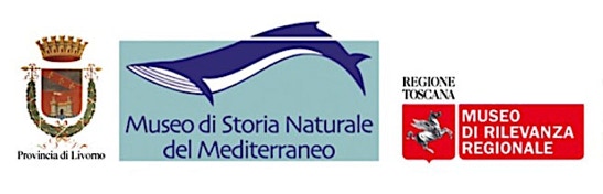 Logo Museo Mediterraneo